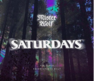 Mr Wolf Saturdays